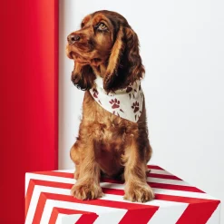 Jules Bandana pour chien- Vêtements Pour Chien