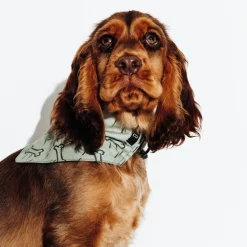 Jules Bandana pour chien- Vêtements Pour Chien