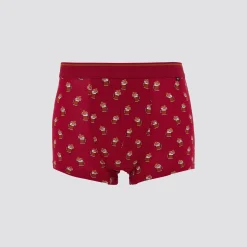 Jules Boxer fantaisie coffret Noël- Boxer