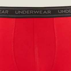 Jules Boxer uni en coton- Boxer