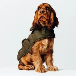 Jules Manteau pour chien- Vêtements Pour Chien